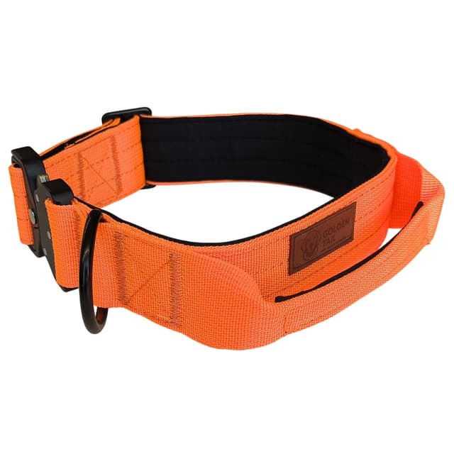 Obroża pomarańczowa z mocnym zapięciem